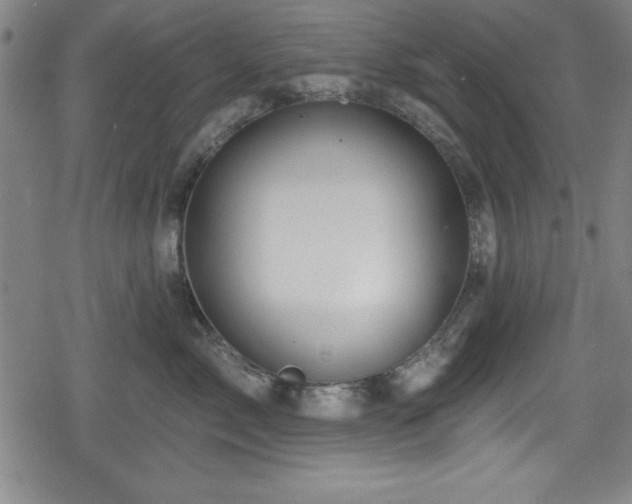 X0000078890717200611131230