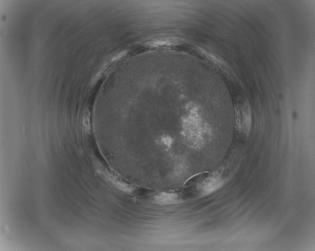 X0000078890718200611131230