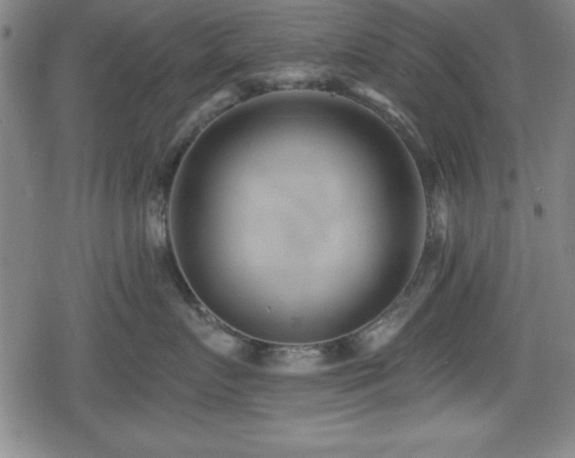 X0000078890719200611131230