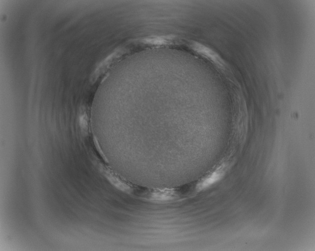 X0000078890720200611131230