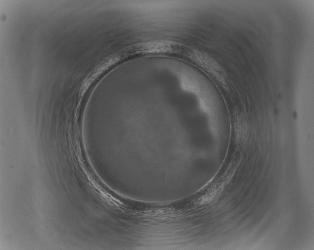 X0000078890721200611131229