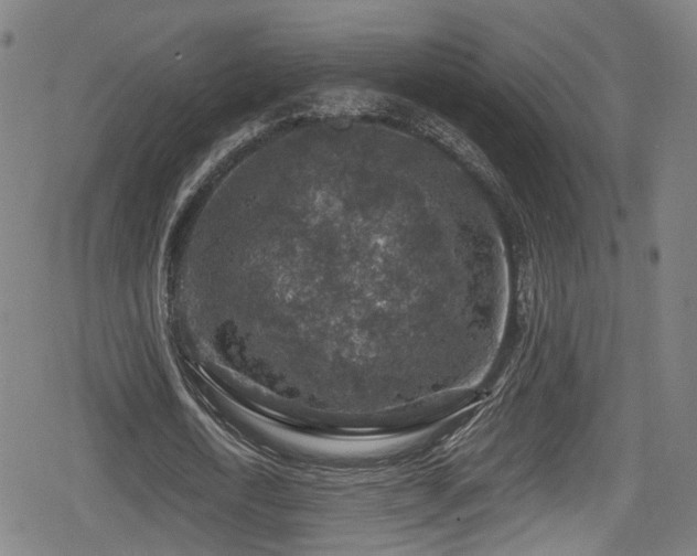 X0000078890722200611131229