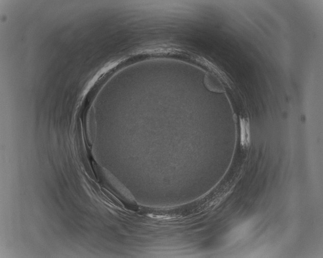 X0000078890723200611131229