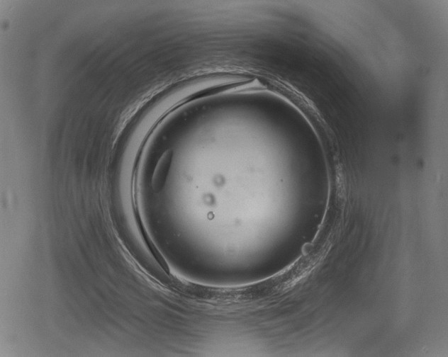 X0000078890725200611131229