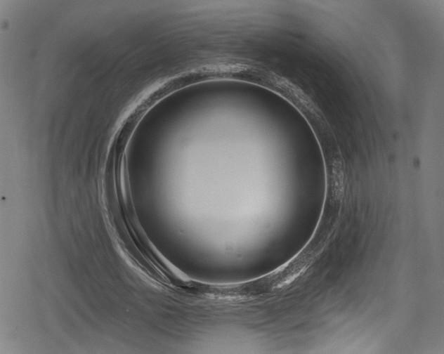 X0000078890726200611131229