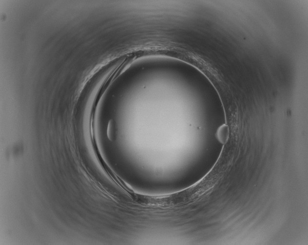 X0000078890727200611131229