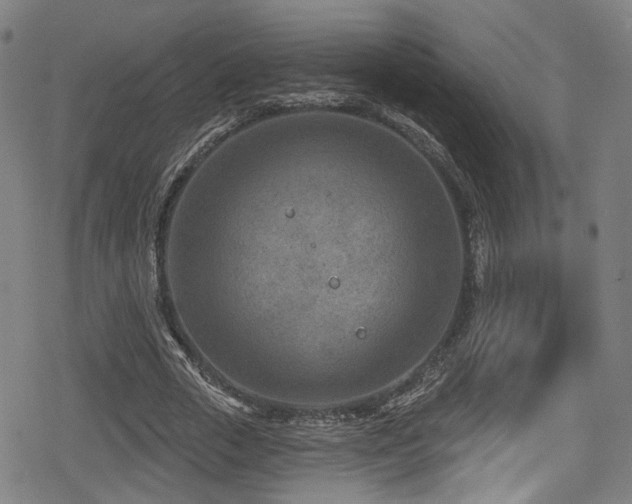 X0000078890729200611131229