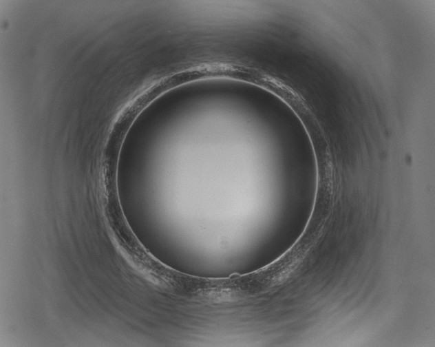 X0000078890730200611131229