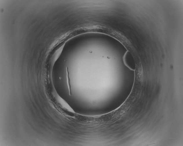 X0000078890732200611131229