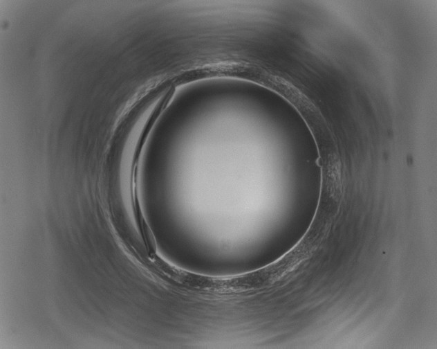 X0000078890734200611131229