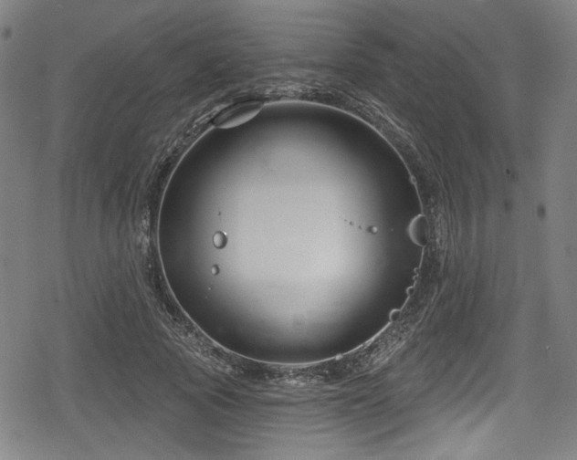 X0000078890737200611131229