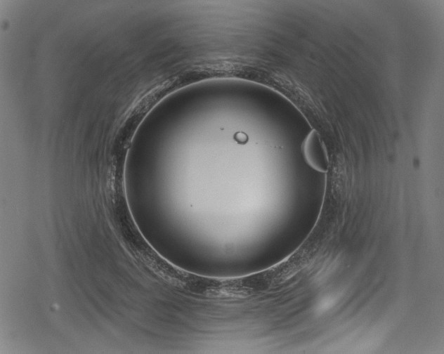 X0000078890739200611131229