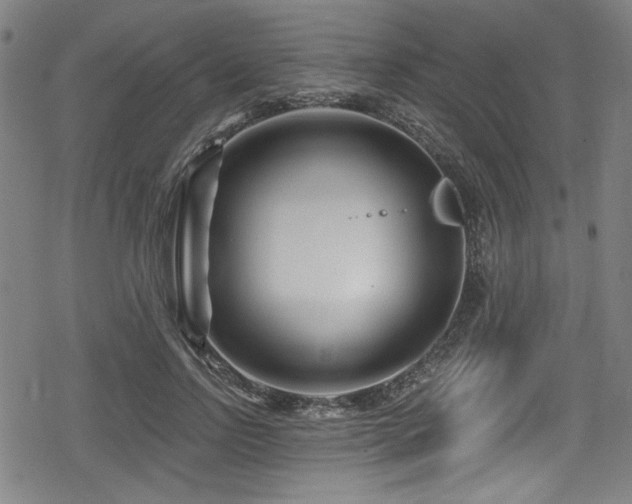 X0000078890742200611131229