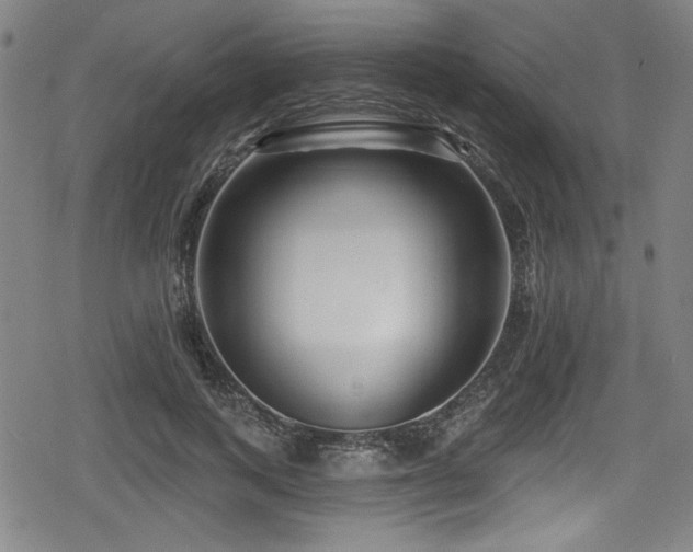 X0000078890743200611131229