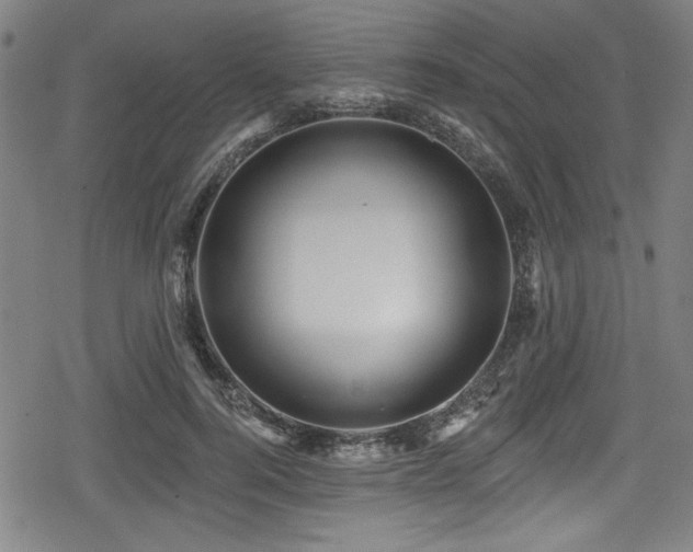 X0000078890744200611131229