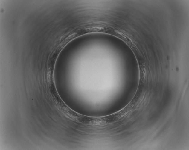 X0000078890745200611131229