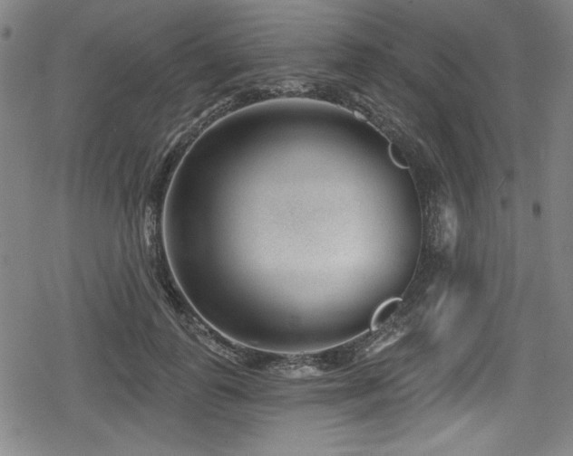 X0000078890747200611131229