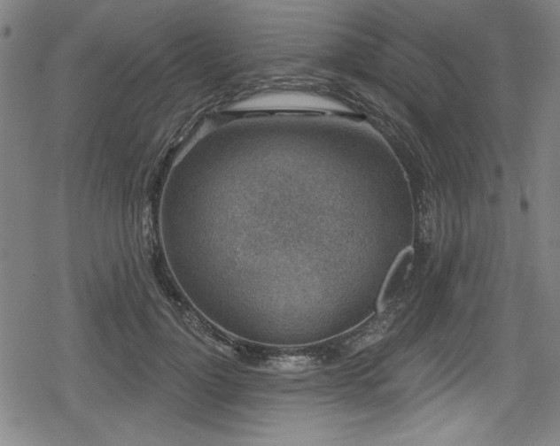 X0000078890748200611131229