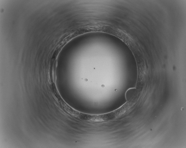 X0000078890749200611131229