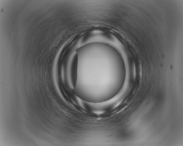 X0000078890750200611131229