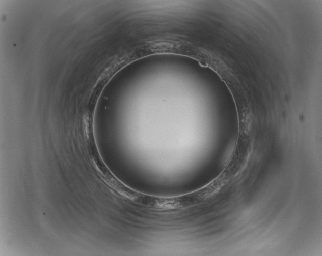 X0000078890753200611131229