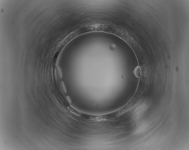 X0000078890754200611131229