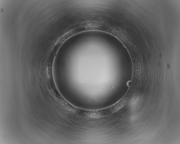 X0000078890755200611131229