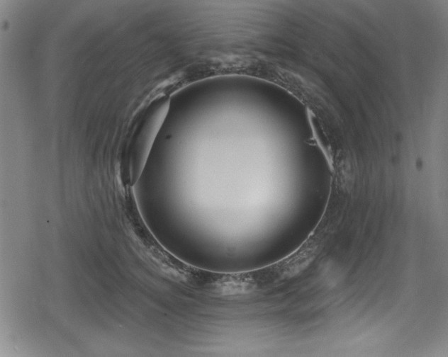 X0000078890756200611131229