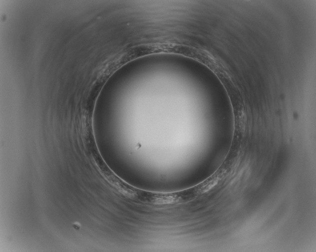 X0000078890757200611131229