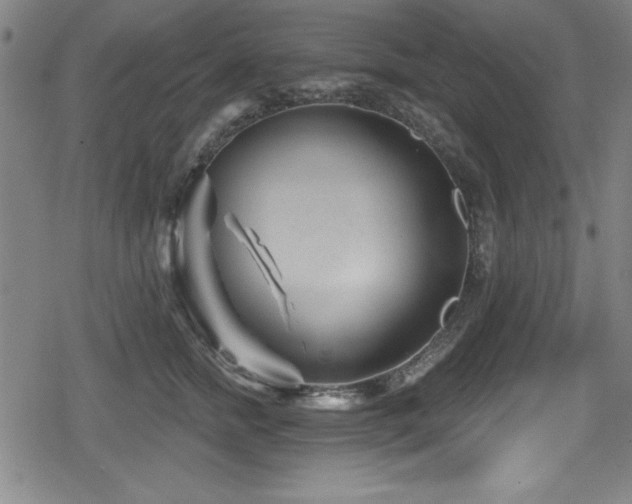 X0000078890758200611131229