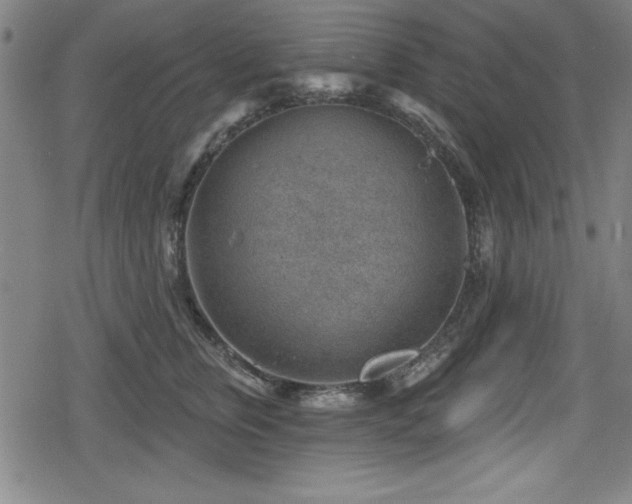 X0000078890759200611131230