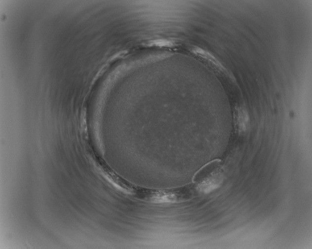 X0000078890760200611131230