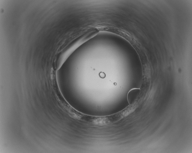 X0000078890761200611131230