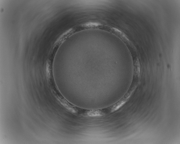 X0000078890762200611131230