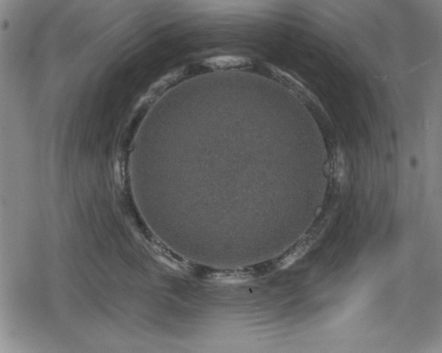 X0000078890763200611131230