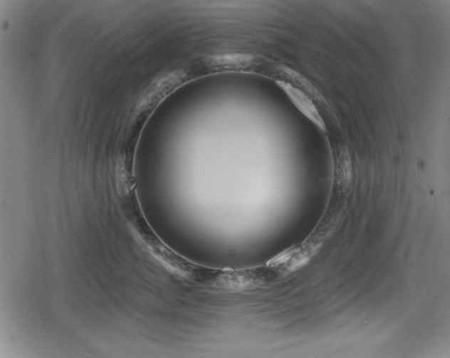 X0000078890764200611131230