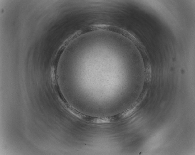 X0000078890765200611131230