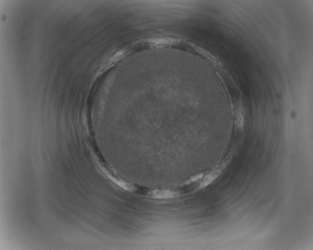 X0000078890766200611131230