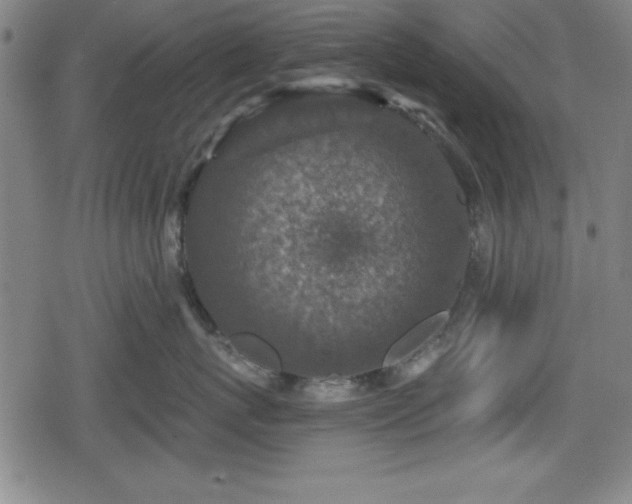 X0000078890767200611131230