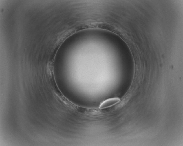 X0000078890768200611131230