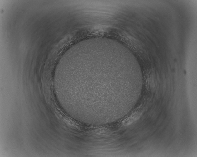 X0000078890769200611131229