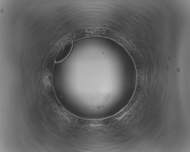 X0000078890770200611131229