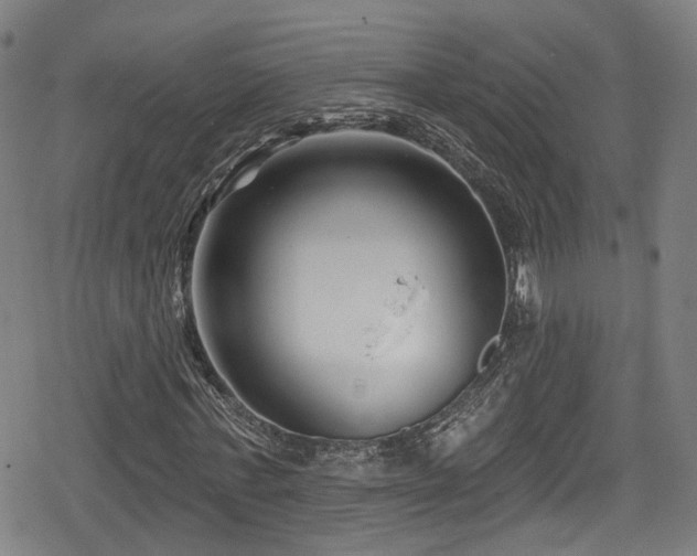 X0000078890771200611131229