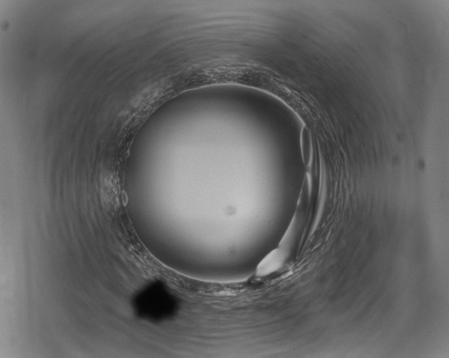 X0000078890772200611131229