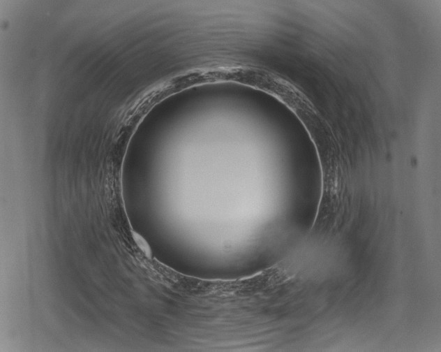 X0000078890773200611131229