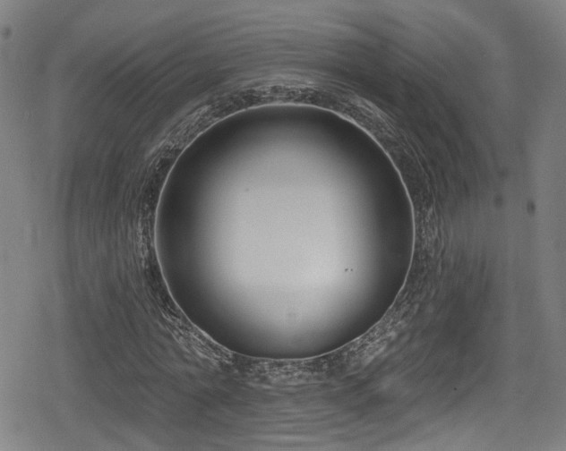 X0000078890774200611131229