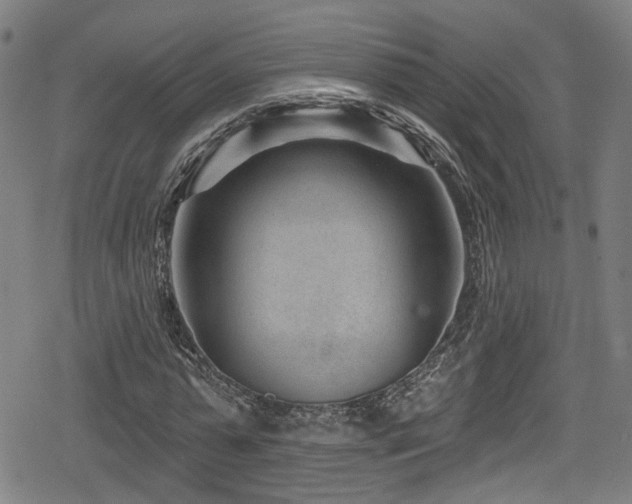 X0000078890775200611131229