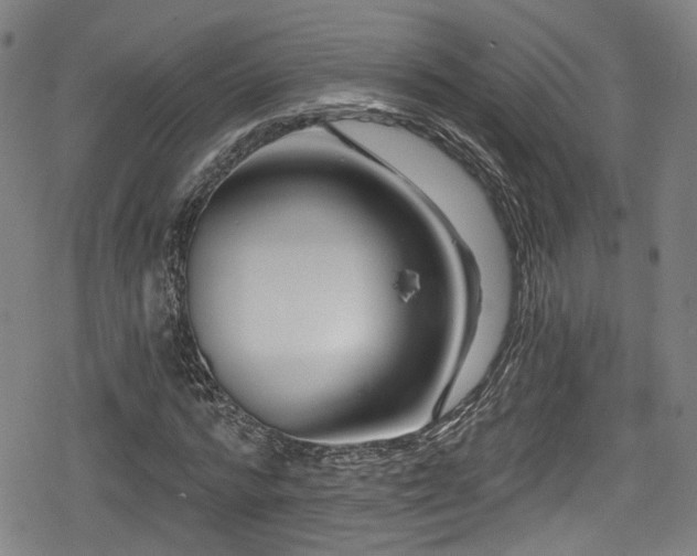 X0000078890776200611131229