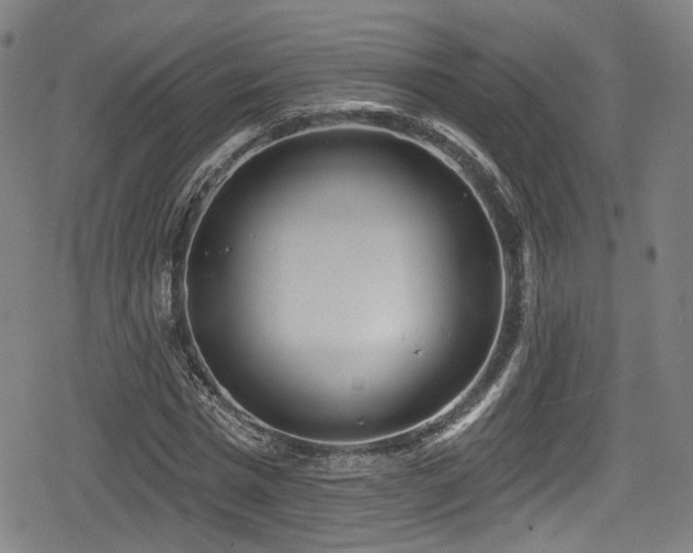 X0000078890777200611131229