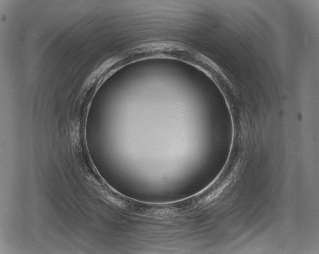 X0000078890778200611131229